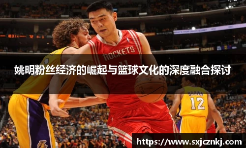 姚明粉丝经济的崛起与篮球文化的深度融合探讨