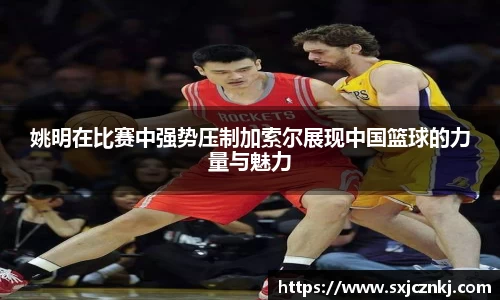 姚明在比赛中强势压制加索尔展现中国篮球的力量与魅力